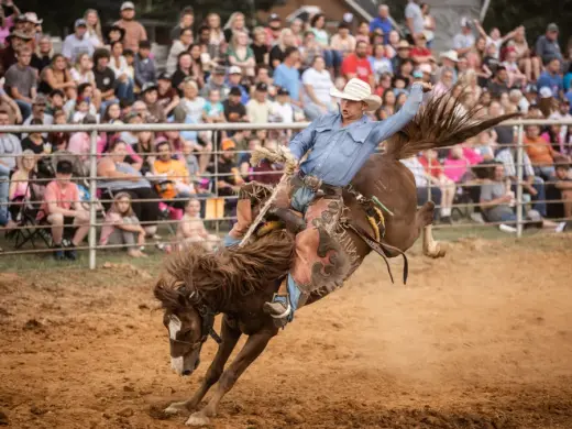 images.rodeoticket.com/infopages2/phillips-championship-rodeo-infopages2-12860.webp
