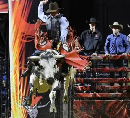 images.rodeoticket.com/infopages2/professional-championship-bull-riders-walworth-infopages2-12589.webp