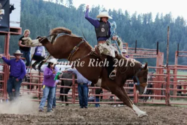 images.rodeoticket.com/infopages2/ride-a-horse-feed-a-cowboy-infopages2-12470.webp