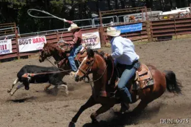 images.rodeoticket.com/infopages2/russian-river-rodeo-infopages2-12511.webp