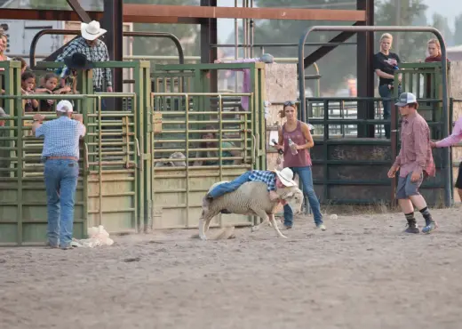 images.rodeoticket.com/infopages2/sevier-county-fair-jr-rodeo-infopages2-12531.webp