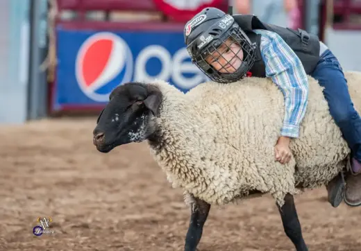 images.rodeoticket.com/infopages3/alamosa-round-up-infopages3-12578.webp