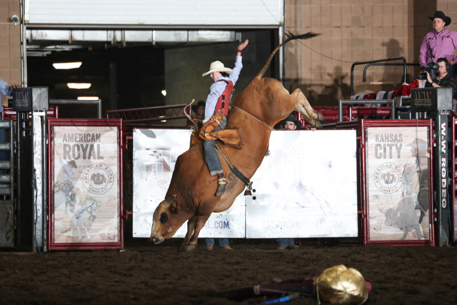 images.rodeoticket.com/infopages3/american-royal-rodeo-infopages3-12714.png