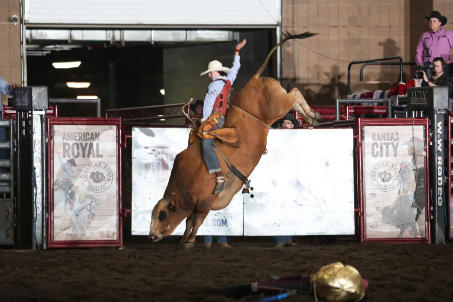 images.rodeoticket.com/infopages3/american-royal-rodeo-infopages3-12714.webp