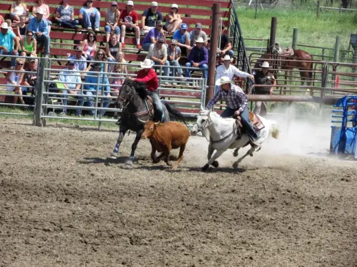 images.rodeoticket.com/infopages3/choteau-american-legion-independence-day-rodeo-infopages3-12581.webp