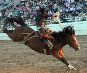 images.rodeoticket.com/infopages3/guymon-pioneer-days-rodeo-infopages3-12468.png