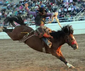 images.rodeoticket.com/infopages3/guymon-pioneer-days-rodeo-infopages3-12468.webp