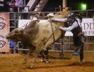 images.rodeoticket.com/infopages3/nacogdoches-pro-rodeo-and-steer-show-infopages3-12478.webp