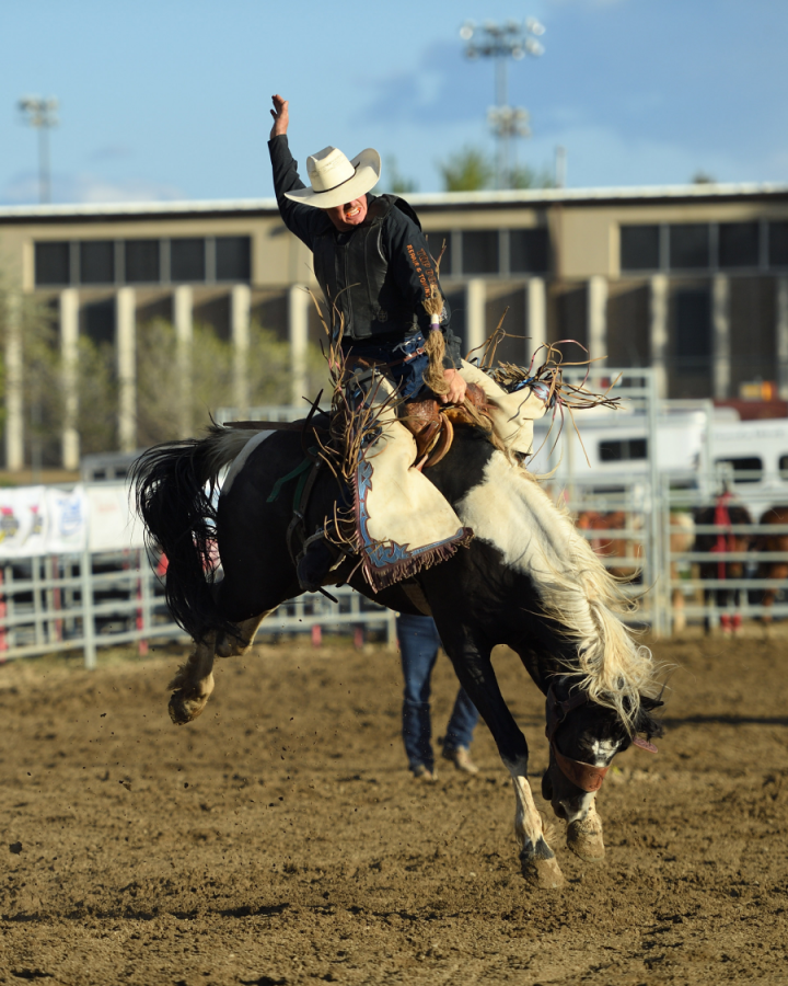 images.rodeoticket.com/infopages3/overland-stage-stampede-rodeo-infopages3-12495.png
