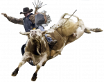 images.rodeoticket.com/infopages3/punxsutawney-pro-bulls-and-barrels-infopages3-12801.png