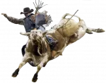 images.rodeoticket.com/infopages3/punxsutawney-pro-bulls-and-barrels-infopages3-12801.webp