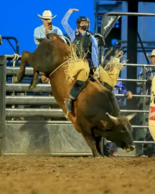 images.rodeoticket.com/infopages3/roughrider-days-rodeo-infopages3-12488.webp