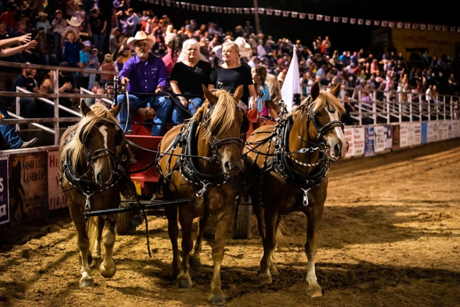 Prca Rodeo Springfield Springhill PRCA Championship Rodeo - 09/20/2026 - Rodeo Information
