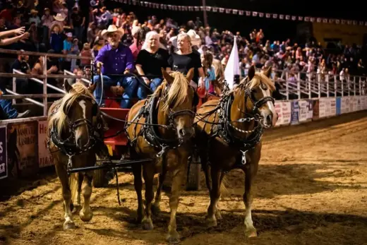 images.rodeoticket.com/infopages3/springhill-prca-rodeo-infopages3-12573.webp