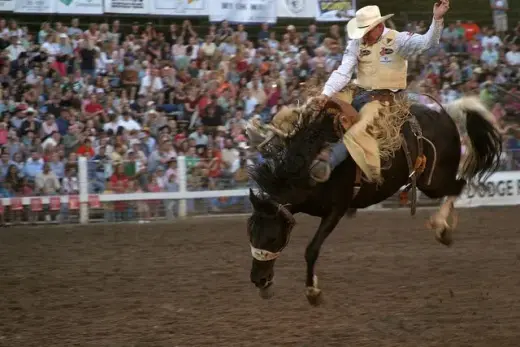 images.rodeoticket.com/infopages3/strawberry-days-rodeo-infopages3-12472.webp