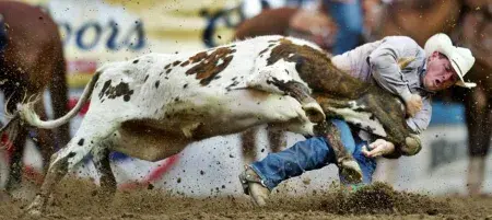 images.rodeoticket.com/infopages3/texas-tech-open-rodeo-infopages3-12491.webp