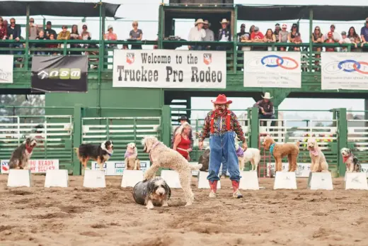 images.rodeoticket.com/infopages3/truckee-professional-rodeo-infopages3-12492.webp