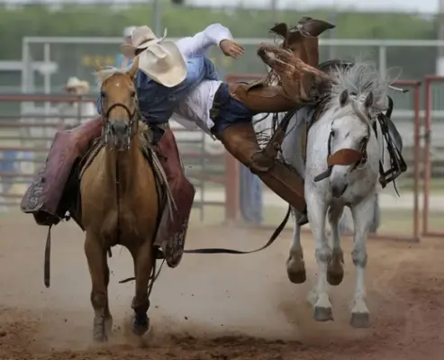images.rodeoticket.com/infopages3/wild-bill-days-infopages3-12567.webp