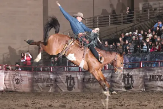 images.rodeoticket.com/infopages4/american-royal-rodeo-infopages4-12714.webp