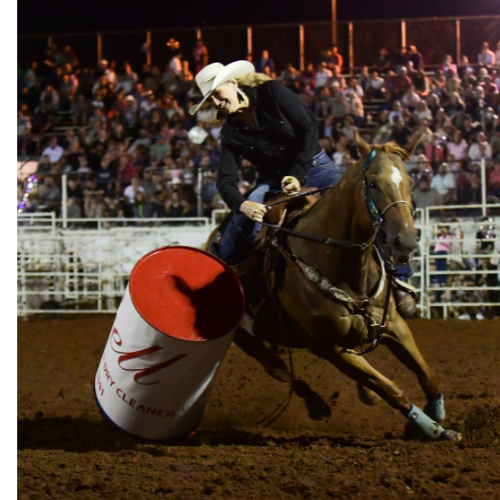 images.rodeoticket.com/infopages4/hejaz-shriners-rodeo-infopages4-12772.png
