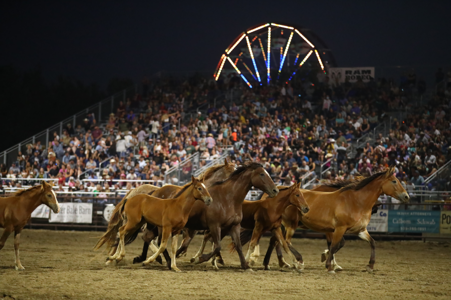 images.rodeoticket.com/infopages4/moses-lake-roundup-infopages4-12725.png