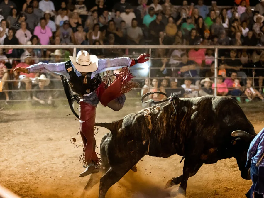 images.rodeoticket.com/infopages4/phillips-championship-rodeo-infopages4-12860.webp
