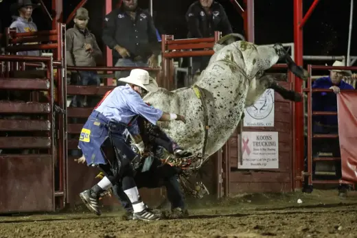 images.rodeoticket.com/infopages4/wet-mountain-valley-stampede-prcawpra-rodeo-infopages4-12564.webp