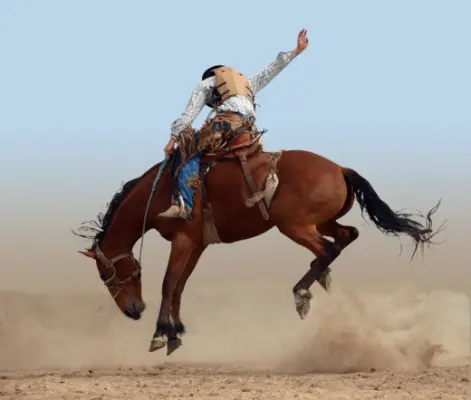 images.rodeoticket.com/infopages4/yuma-silver-spur-rodeo-infopages4-12693.webp