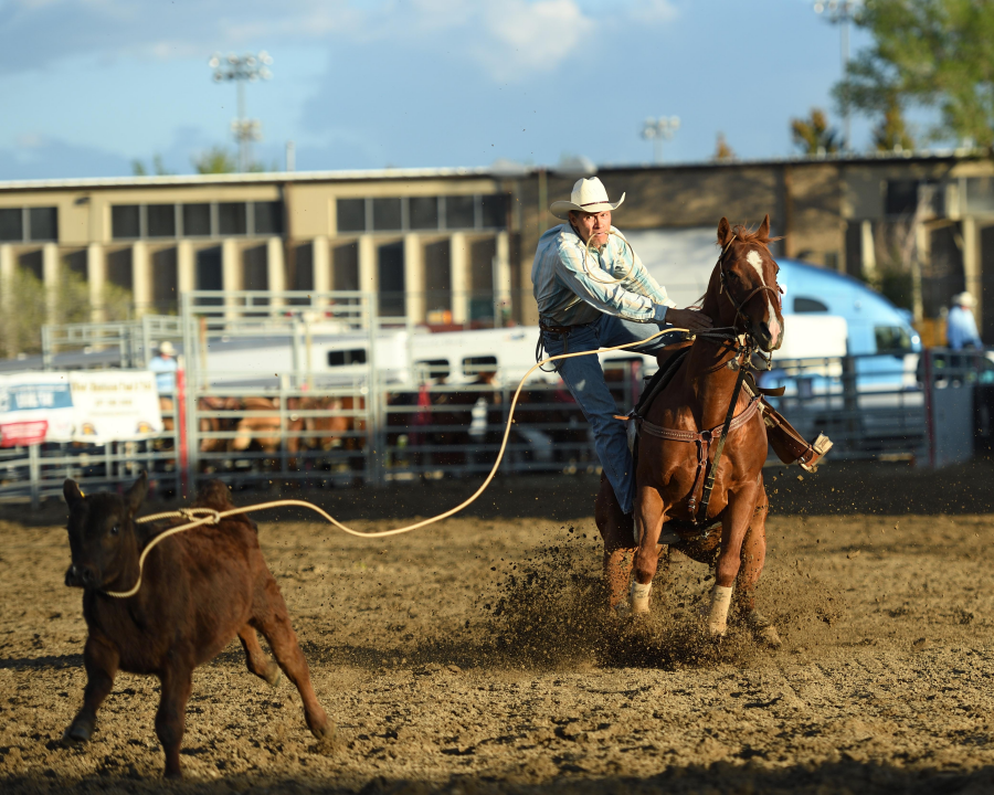 images.rodeoticket.com/infopages5/overland-stage-stampede-rodeo-infopages5-12495.png