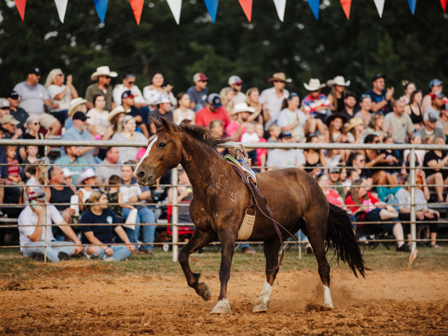images.rodeoticket.com/infopages5/phillips-championship-rodeo-infopages5-12860.png