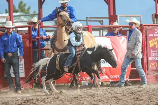 images.rodeoticket.com/infopages5/wet-mountain-valley-stampede-prcawpra-rodeo-infopages5-12564.webp