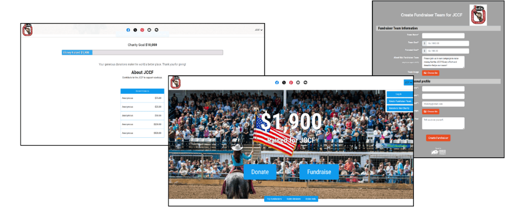 Grow revenue use powerful software example img